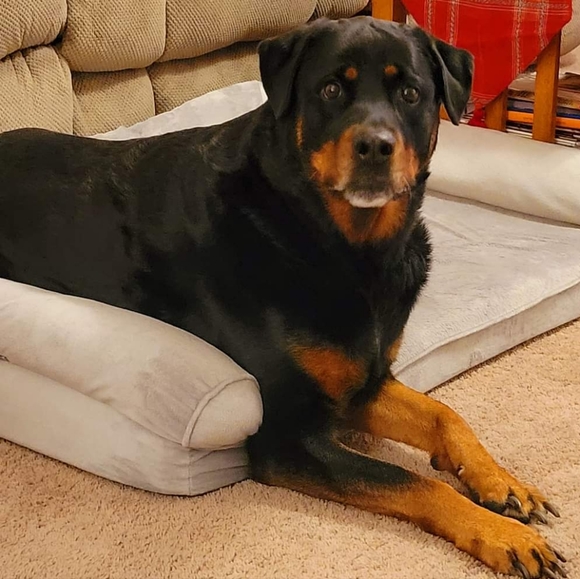 Meet your Posher, Debra - Picture 11 of 16